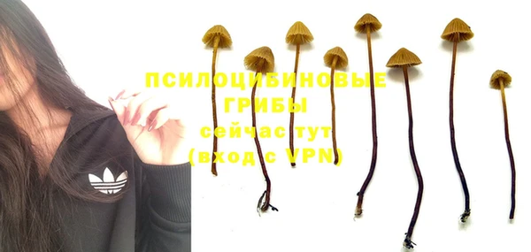 марки nbome Белокуриха