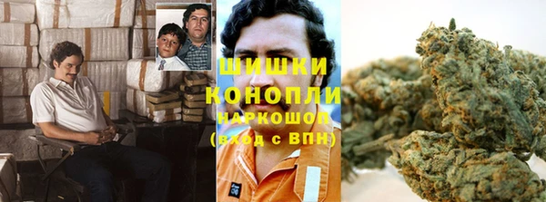 марки nbome Белокуриха